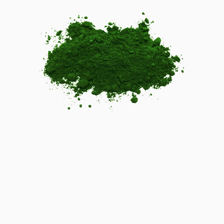 Chlorella en poudre