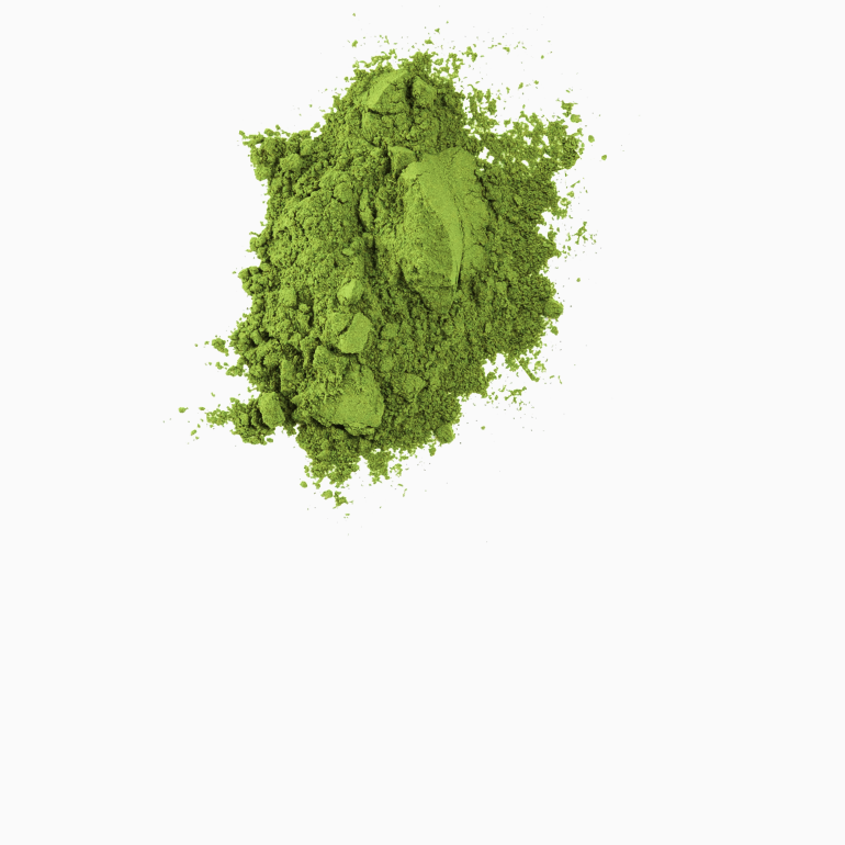 Moringa Powder