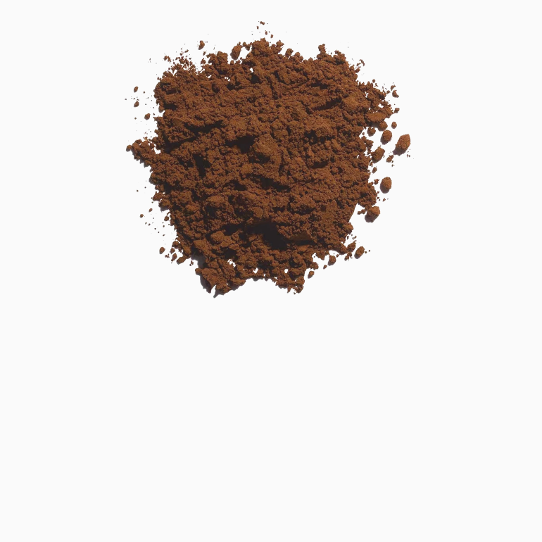 Chaga