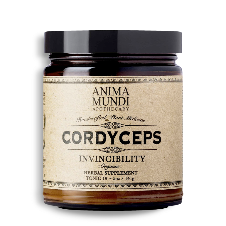 Cordyceps