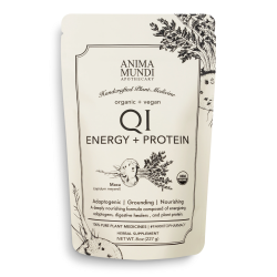 Qi Energy + Protein