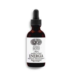 Energia