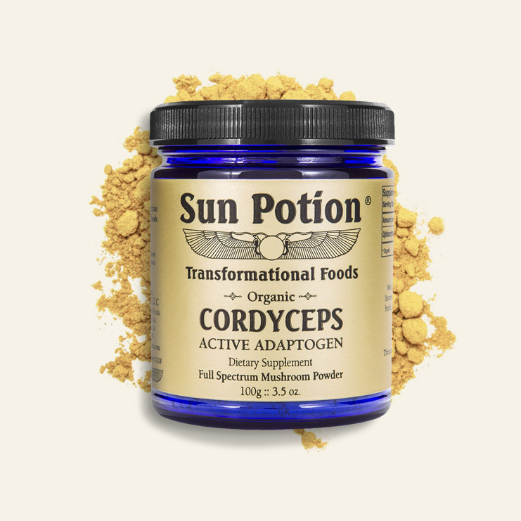 Cordyceps - SUN POTION