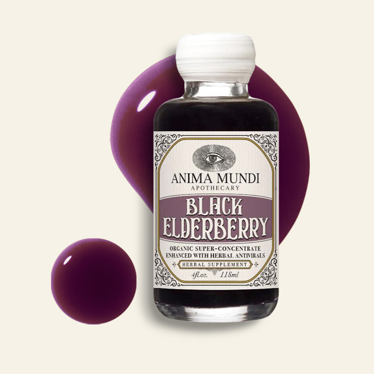Black Elderberry Syrup - ANIMA MUNDI