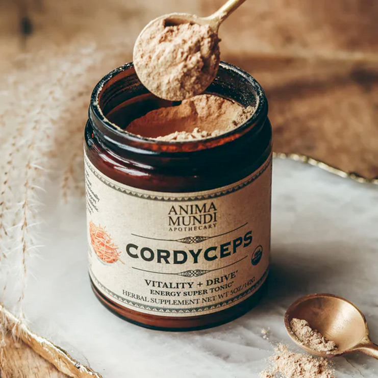 Cordyceps - ANIMA MUNDI