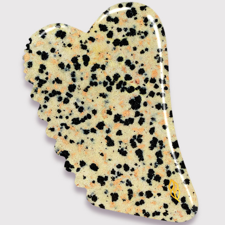 Bazar Bio Tools - Gua Sha Jaspe Dalmatien