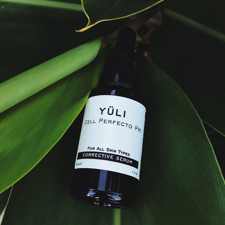Cell Perfecto - YULI